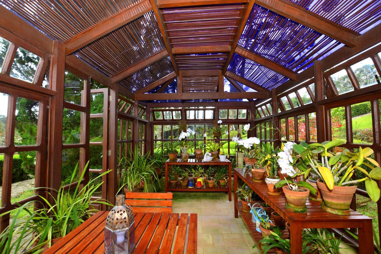 Roots Resort Monte Verde  Bagian luar foto